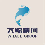 河南大鲸健康产业集团有限公司