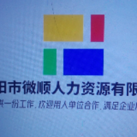 河南省微顺人力资源有限公司